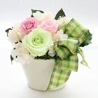 �v���U�[�u�h �t�����[�����u�e���R�b�^�A�����W�v